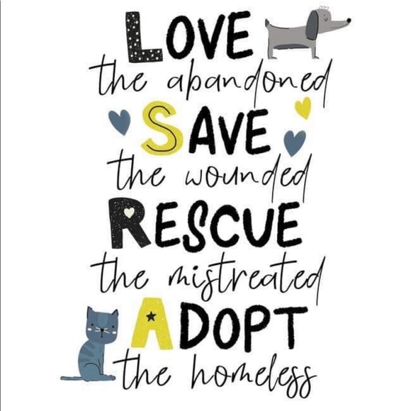 Meet your Posher, Helen Brianna - Picture 4 of 17